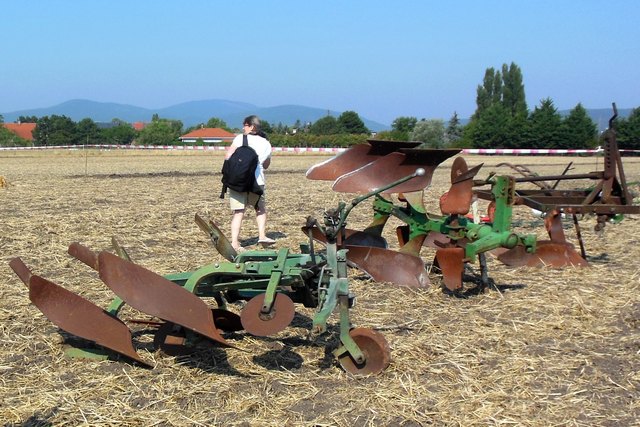 150808_Nostalgiepfl%C3%BCgen.jpg