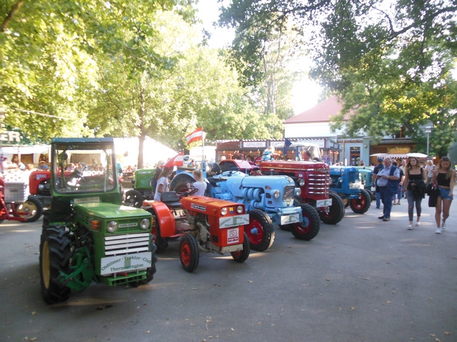 180709_Weinfest_Traiskirchen.jpg